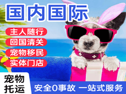 鄂托克旗乌兰航空货运国际宠物托运 【国